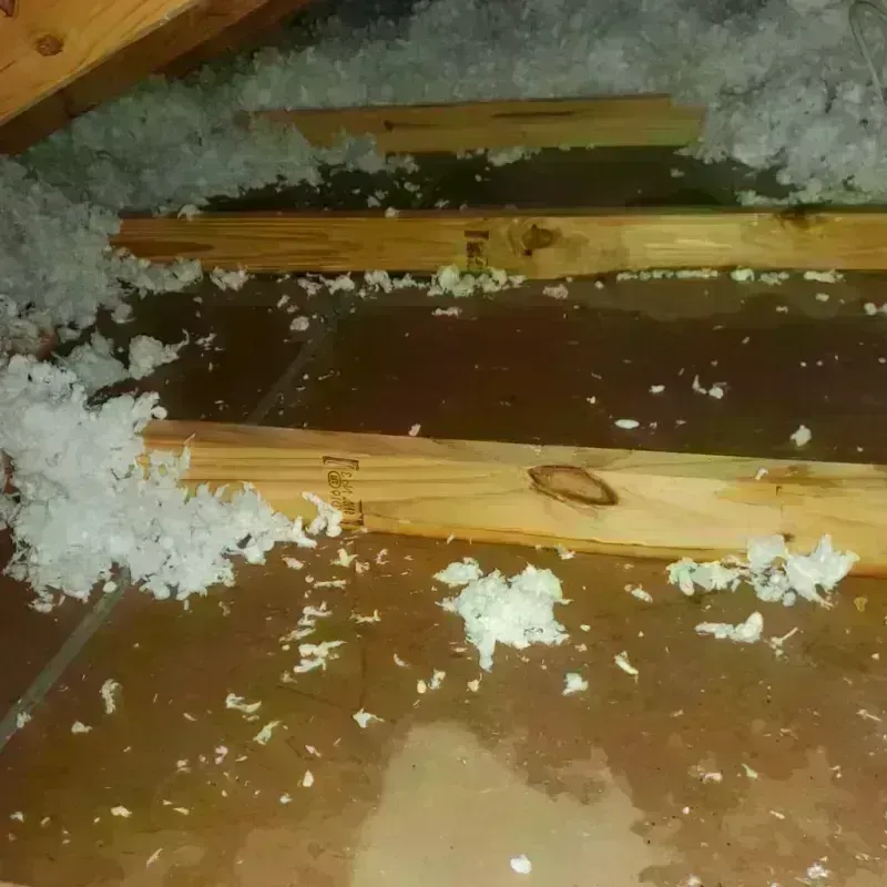 Attic Water Damage in Romoland, CA