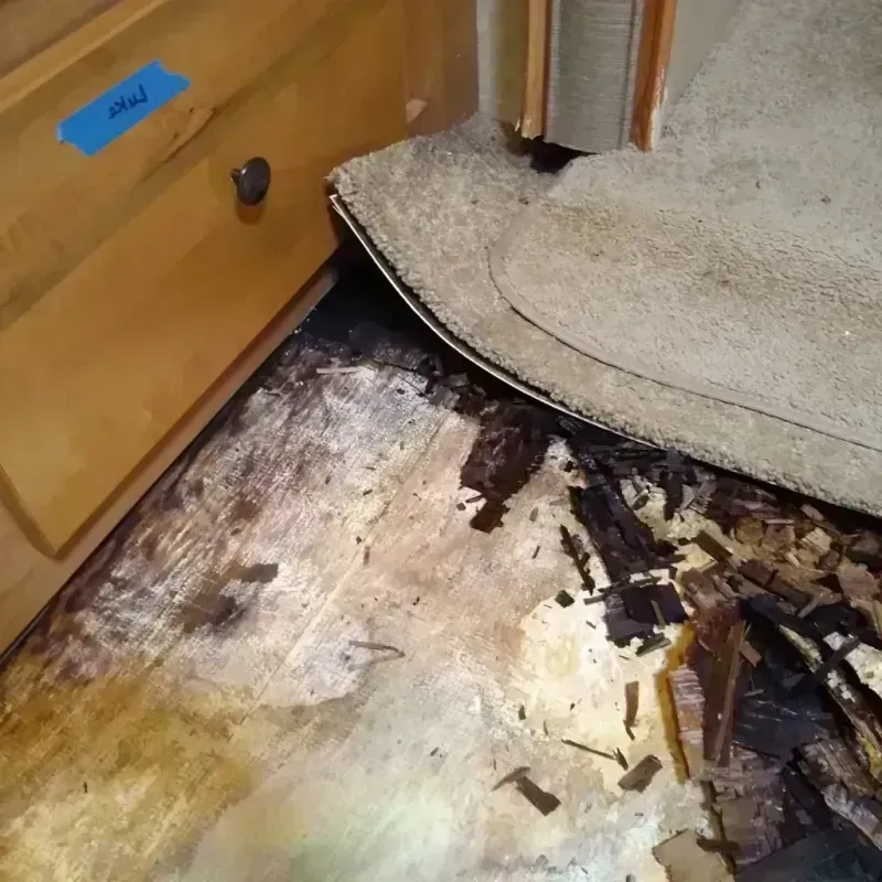 Best Wood Floor Water Damage Service in Romoland, CA